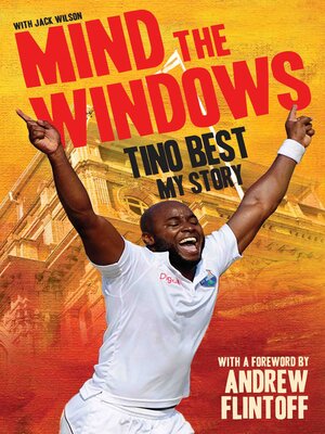 cover image of Mind the Windows
